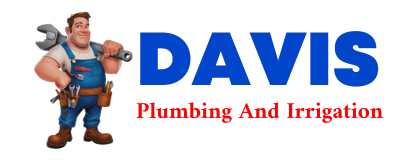 Trusted plumber in HOLABIRD